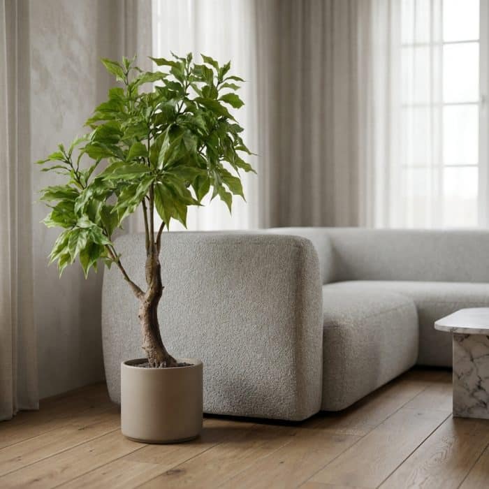 Artificial Laurel Tree - rd00137_scene_1768105935964