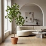 undefined - rd00157_scene_v2_1768138221901