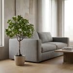 undefined - rd00158_scene_v2_1768138243597