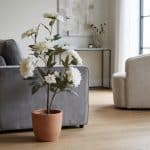 Artificial Dahlia - rd00163_2_scene_1768140205384