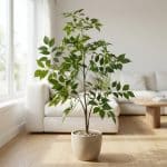 80CM Artificial Ficus Tree (RD00171) - Image 3