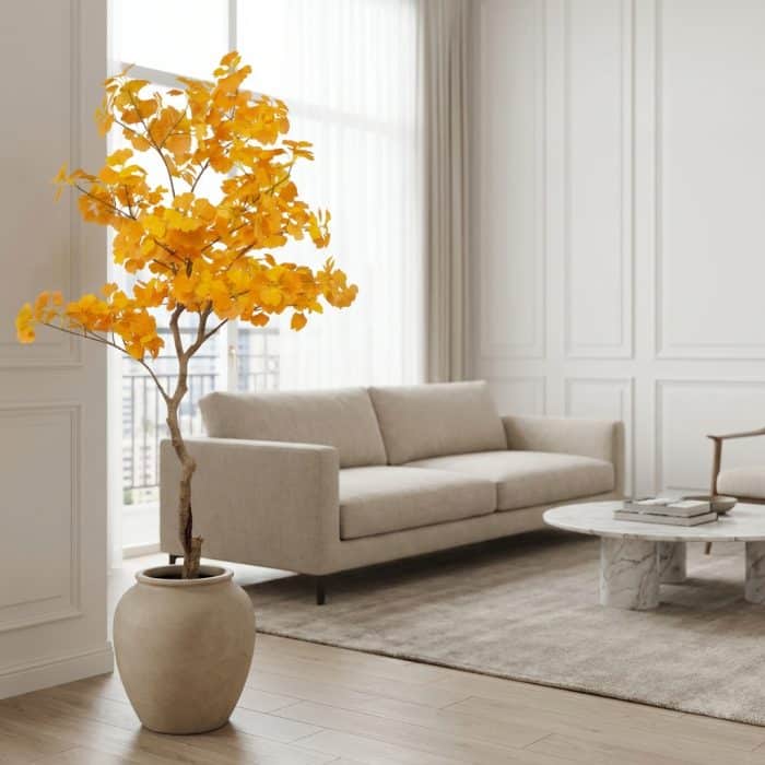 amazing 6ft ginkgo tree - rd00281_scene_1