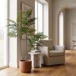 best 4ft foxtail fern - rd00303_scene_1