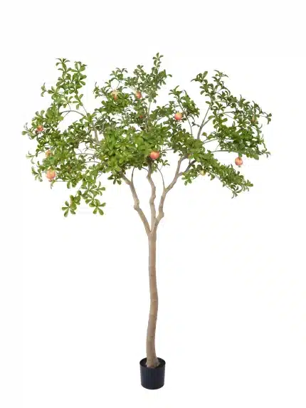 incredible 230cm pomegranate tree in large living room